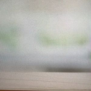 Meet your Posher, Bennett